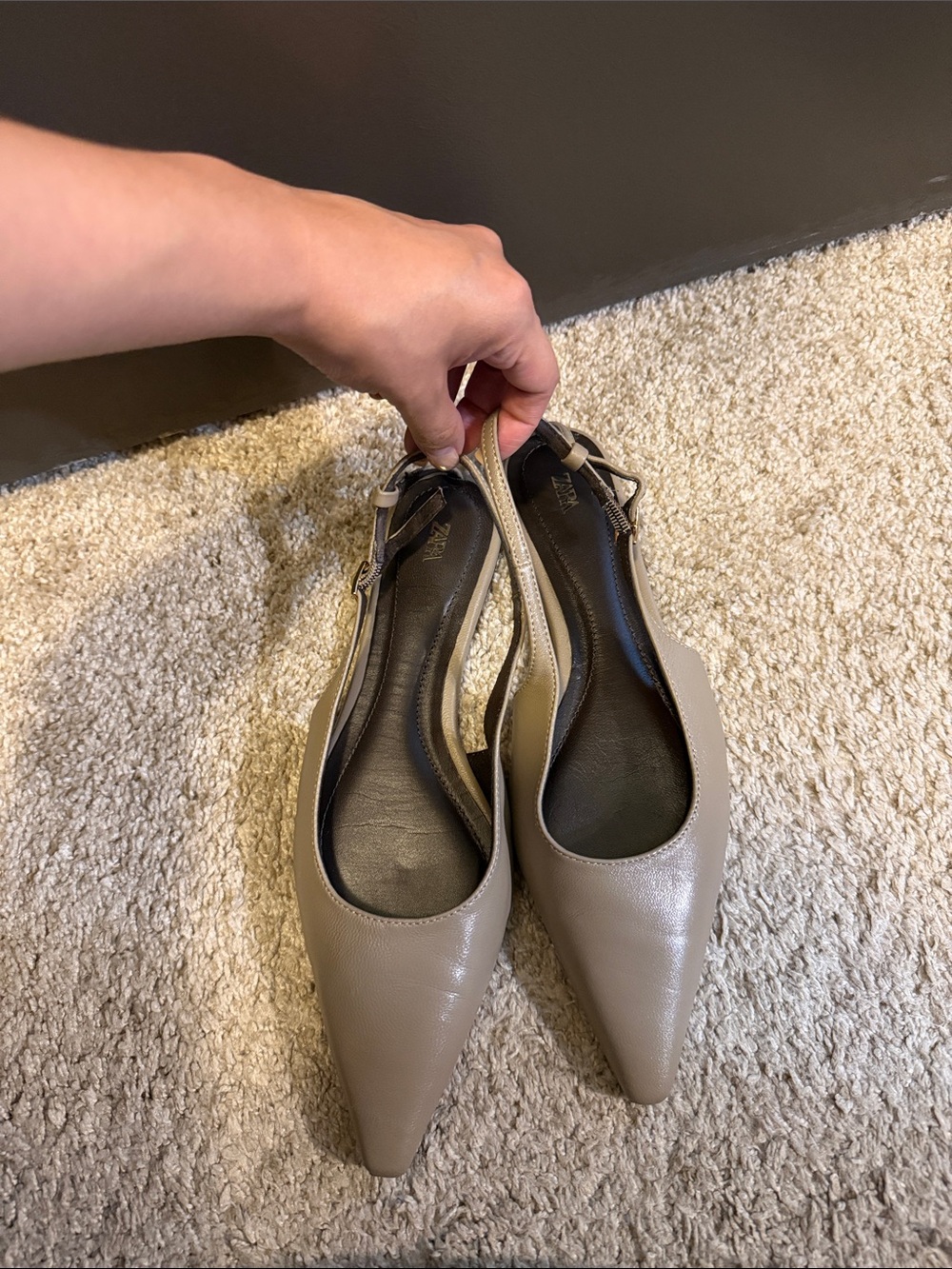 Zara Pointed Slingback Flats in Taupe